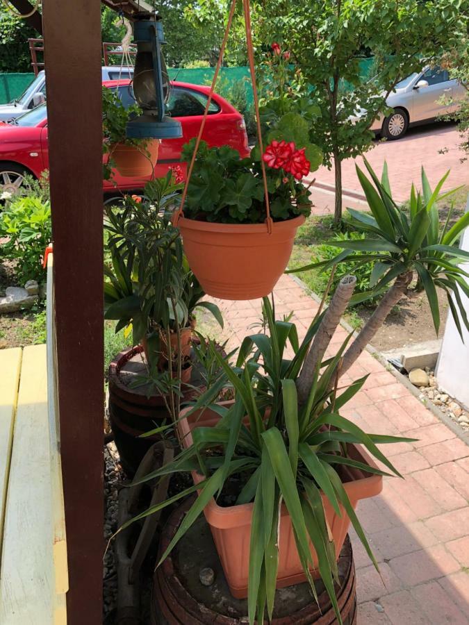 Paros Fahaz Appartement Balatonföldvár Buitenkant foto